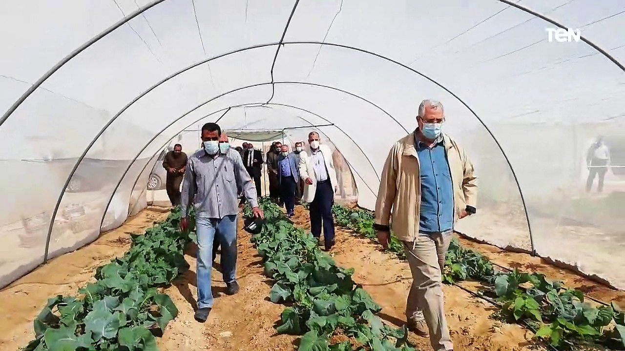 لبحث سبل التنمية الزراعية وزيادة الاستثمار.. محافظة الوادي الجديد تستقبل وزيري الزراعة والري