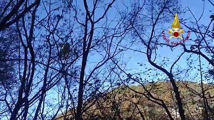 Perugia - Soccorso 70enne infornunatosi nei boschi (07.11.20)