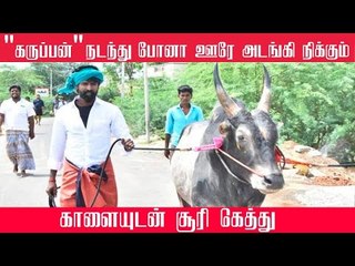 Comedian Soori takes his Jallikattu Kaalai for a bath | Viral