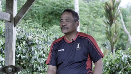 Menengok Peninggalan Belanda di Perkebunan Kopi Toraja