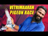 Vetrimaaran's Pigeon Loft | Pigeon Race