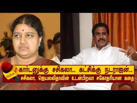 கார்டனுக்கு சசிகலா... கட்சிக்கு நடராஜன்...| அத்தியாயம் 6