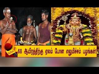 10 எலுமிச்சம் அதிசயம் ! ஏலம் எடுக்க 1000 பேர் !