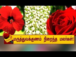 இந்த பூக்களுக்குள்  இவ்வளவு மருத்துவக்குணங்களா? தெரிந்துகொள்ளுங்கள்..