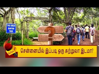 Download Video: சென்னையில் இப்படி ஒரு பசுமை இடம் இருக்குனு எத்தனை பேருக்கு தெரியும்? | Theosophical society