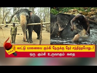 முகாமே அதிரும் அளவுக்கு பிளிறிய யானை ! - ஏன் தெரியுமா ? | அத்தியாயம் 5