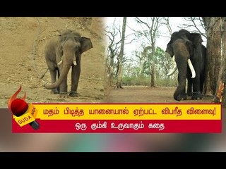 நேருக்கு நேர் மோதிக்கொண்ட இரண்டு கும்கி யானைகள் ..வென்றது யார் ? | அத்தியாயம் 9