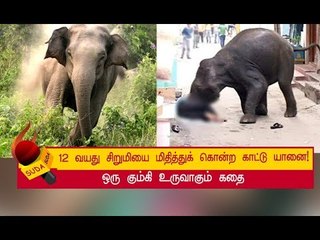 70 காவலர்களிடம் மல்லு கட்டிய ஒற்றை காட்டு யானை ! | அத்தியாயம் 17