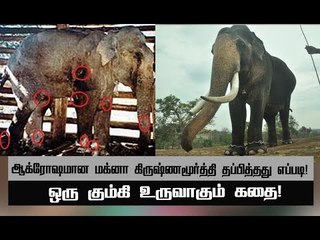 12 குண்டுகள்!15 பேரின் உயிர்!உச்சகட்ட பயத்தில் வனத்துறை! | அத்தியாயம் 22