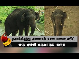 மதம் பிடித்த யானையோடு மல்லுக்கட்டிய 15 பேர்!  | அத்தியாயம் 20