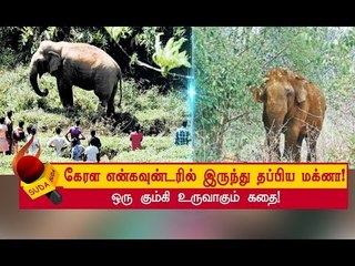 கண்ணில்பட்ட அனைத்தையும் அடித்து நொறுக்கிய யானை! | அத்தியாயம் 1