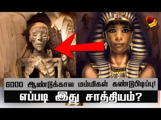விஞ்ஞானிகளை மிரள வைத்த எகிப்தியரின் சூத்திரம்!