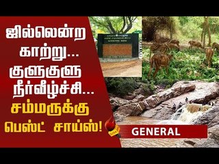 மினி பட்ஜெட்டில் குதூகலமாக ஃபேமிலி பிக்னிக் போகணுமா..? | Amirthi Zoological Park (Vellore)