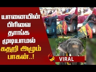 யானைக்காக கதறும் ஊர் மக்கள்!ஆச்சரியமூட்டும் பாசபிணைப்பு