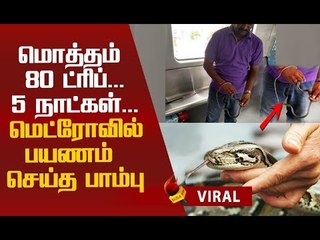 மெட்ரோவில் பயணம் செய்த பாம்பு...சிக்கியது எப்படி ?