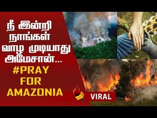 பற்றி எரியும் `பூமியின் நுரையீரல்'..! #Amazonia  #prayforamazonia