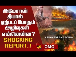 அமேசான் தீ சொல்லும் அழிவுச்செய்தி! #Amazonia  #prayforamazonia
