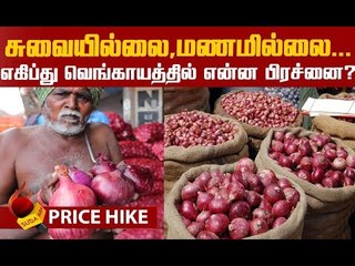 2,000 கிலோ இருக்கு..வாங்க ஆளில்லை! #OnionPrice #OnionCrisis