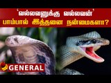 நீங்க கடைசியா பாம்பை எப்போ பார்த்தீங்க? | Snake Unknown Facts | Facts Tamil