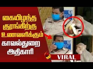 கையிழந்த குரங்கிற்குக் கையான காவலர் #Viralvideo