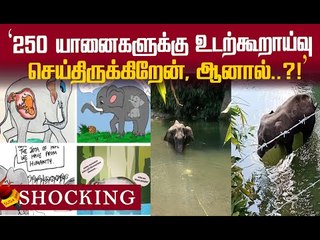 கர்ப்பிணி யானை மரணத்தால் கலங்கிய மருத்துவர்! | Elephant Death