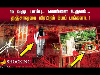 பரபரப்பா இருந்த பங்களா பேய் பங்களாவா மாறியது எப்படி ?