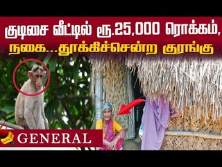 நூறுநாள் வேலை ...மூதாட்டியின் பணம்... பையோடு தூக்கிய குரங்கு !