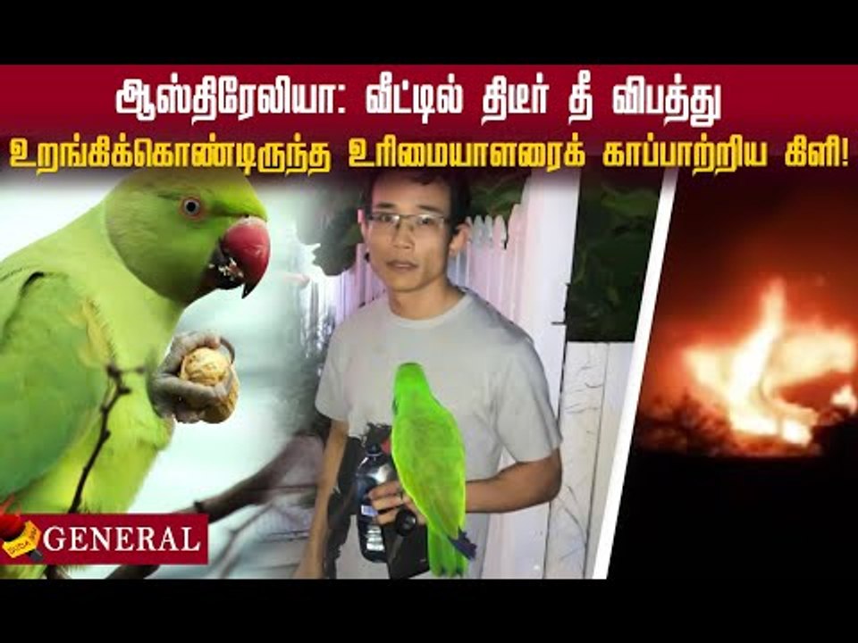 வீட்டில் திடீர் தீ..! உறங்கிக்கொண்டிருந்த உரிமையாளரைக் காப்பாற்றிய கிளி! #pets