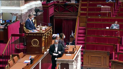 2ème séance : Projet de loi prorogeant l'état d'urgence sanitaire ; Projet de loi de finances pour 2021 (seconde partie) (suite) ) - Samedi 7 novembre 2020