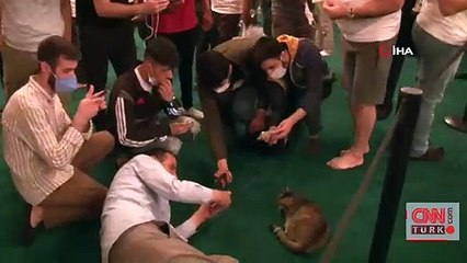 Son dakika... Vali Yerlikaya duyurdu: Gli’yi kaybetmenin üzüntüsünü yaşıyorum