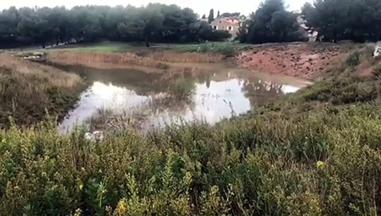 Orages: des feux de toiture causés par des impacts de foudre