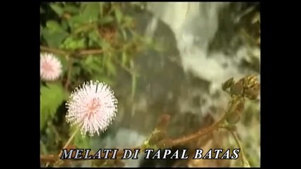 Hendri Rotinsulu - Melati Di Tapal Batas