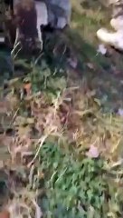 Abdullah Ağar görüntüleri paylaştı: Müjde geliyor