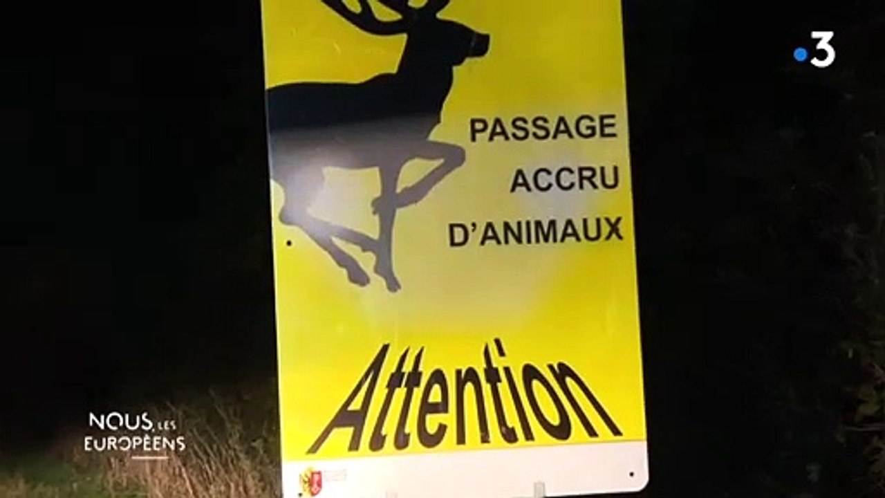 Une carabine équipée d'un silencieux et d'une lunette infrarouge pour réguler la faune dans le canton de Genève où la chasse est interdite depuis 1974