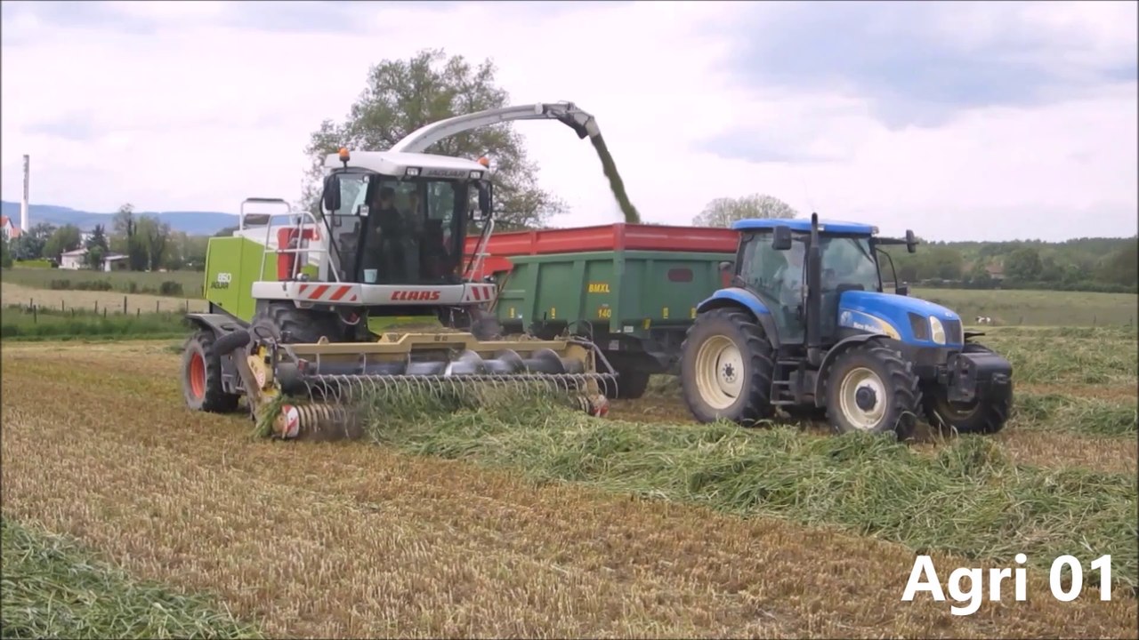 Ensilage de méteil