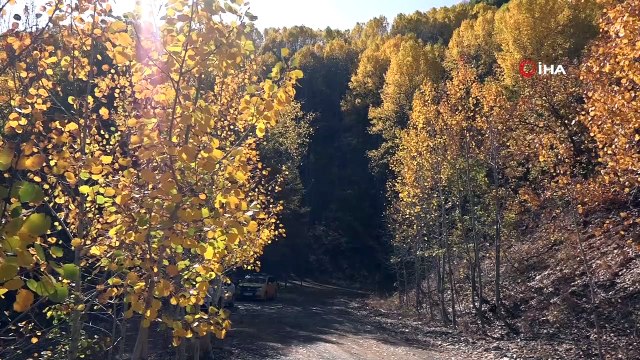 Tunceli’de 'Kar ve sonbahar' görsel şölen sundu