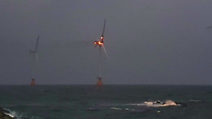 제주 풍력발전기 불...대전 아파트 단지서 멧돼지 활보 / YTN