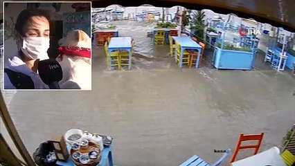 Boncuk İsimli Köpek 'Tsunami'den Böyle Kurtuldu, İşte O Anlar