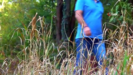 Bolu’nun Saklı Cenneti Sülüklü Göl’ün Havadan Görüntüsü Mest Etti