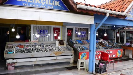 Tezgahlarda palamudun yerini 'istavrit' almaya başladı - TEKİRDAĞ
