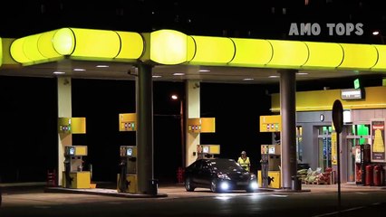 Animales Que Salvaron La Vida De Personas