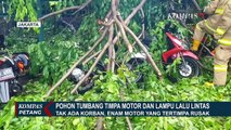 Jakarta Dilanda Angin Kencang, 6 Motor Tertimpa Pohon Tumbang