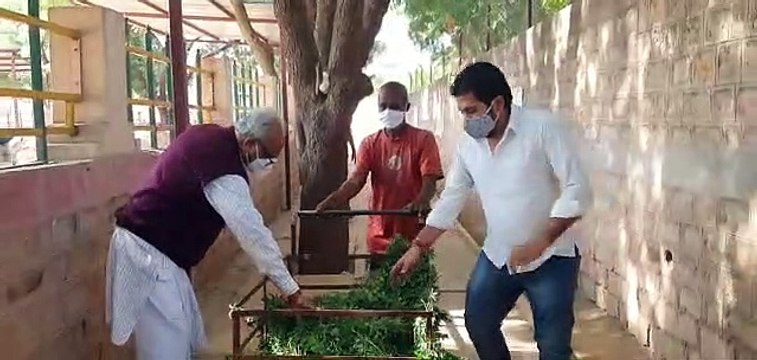 गोसेवा कर सांसद गहलोत ने मनाया जन्मदिन