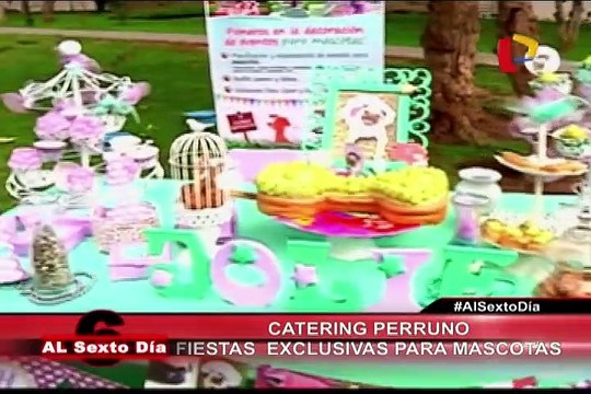Catering Perruno: La fiesta exclusiva para mascotas ya llegó al Perú