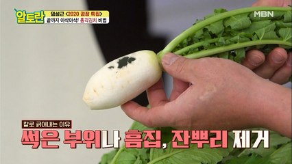 ♥알짜정보♥ [총각김치] 고르는 법부터 손질법까지 대방출!