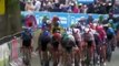 Ciclismo - La Vuelta 20 - Pascal Ackermann gana la ultima etapa