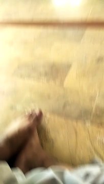 Allah allah allah allah allah allah allah allah allah allah allah allah allah allah