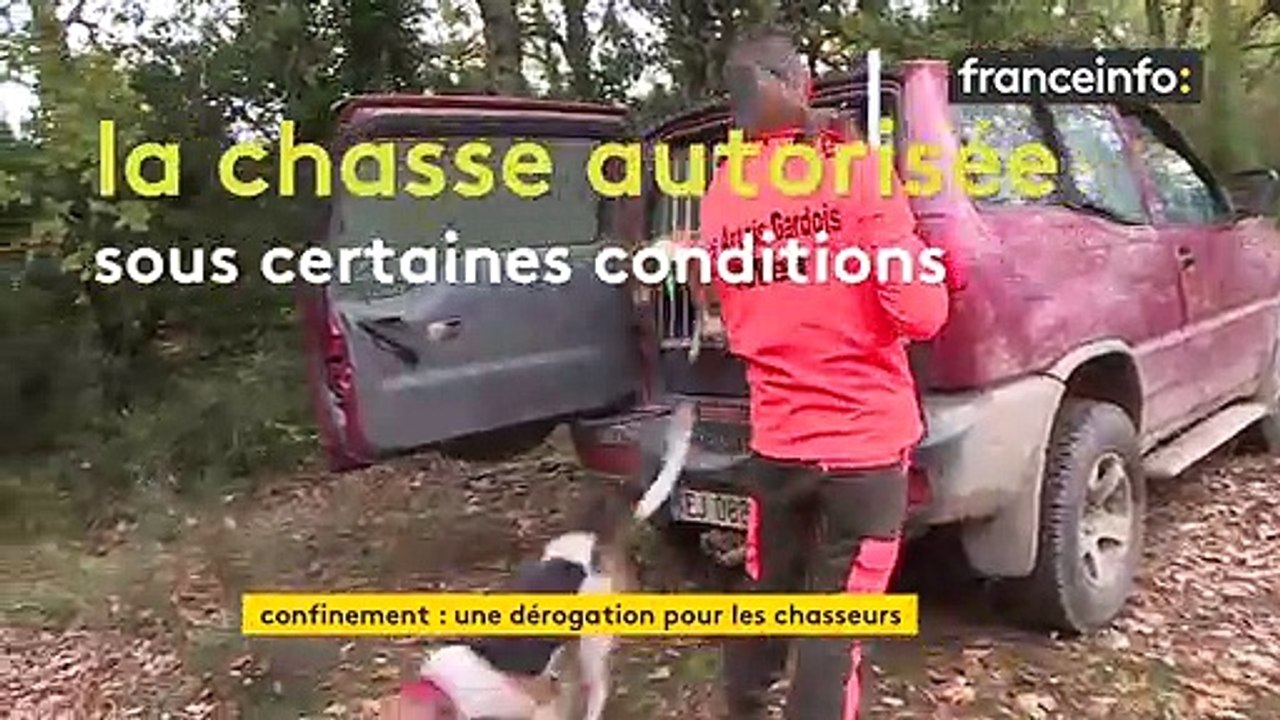 Les chasseurs du Gard autorisés à mener des battues aux gros gibiers