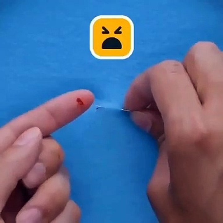 Do it YourSelf Videos 231