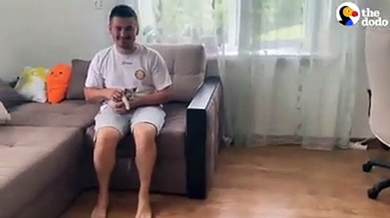 Ce chien est jaloux du nouveau venu... un petit chaton